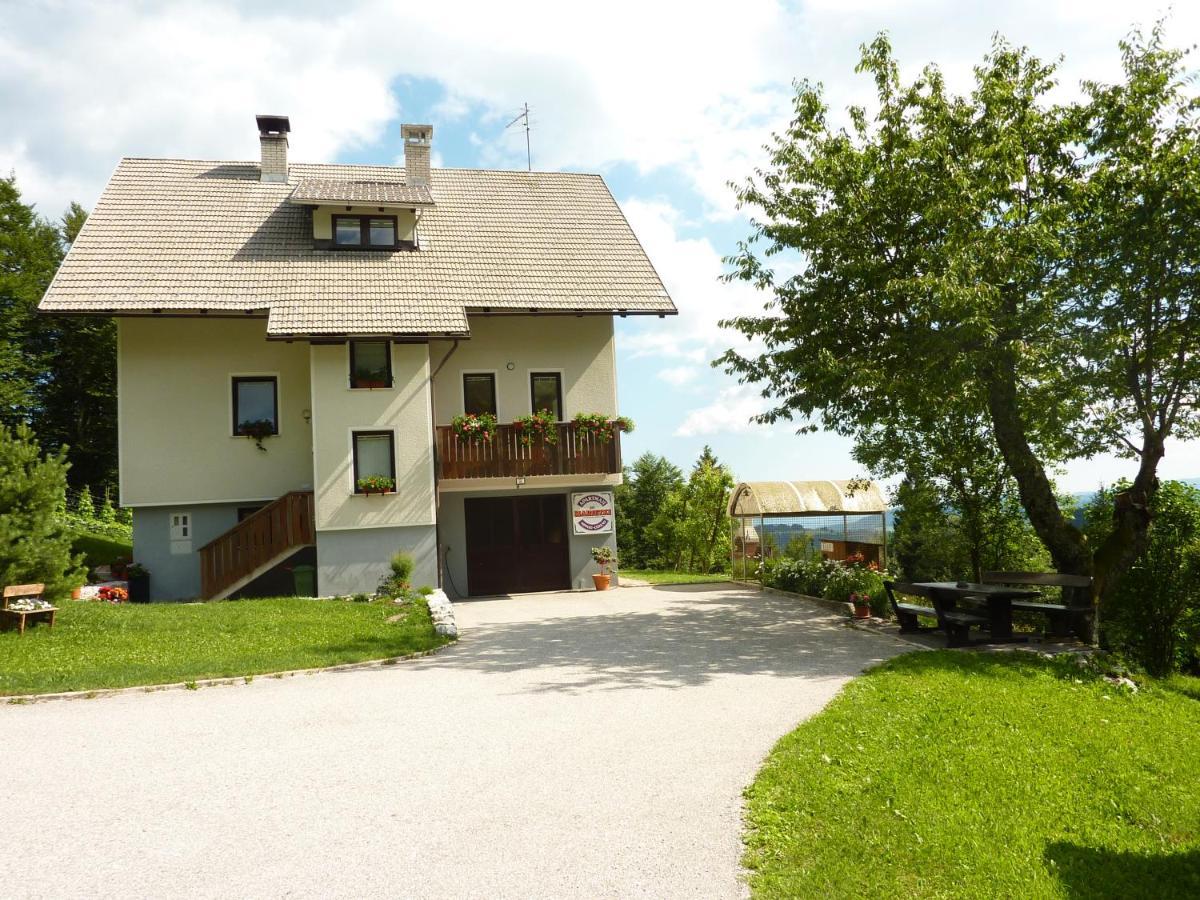 Apartments Pri Marjetki ツェルクノ エクステリア 写真