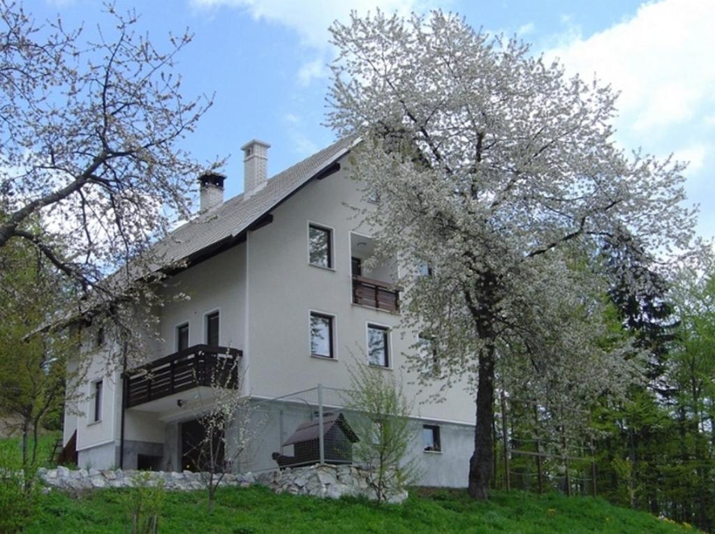 Apartments Pri Marjetki ツェルクノ エクステリア 写真
