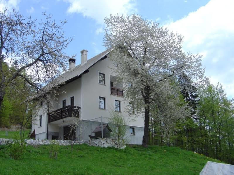 Apartments Pri Marjetki ツェルクノ エクステリア 写真