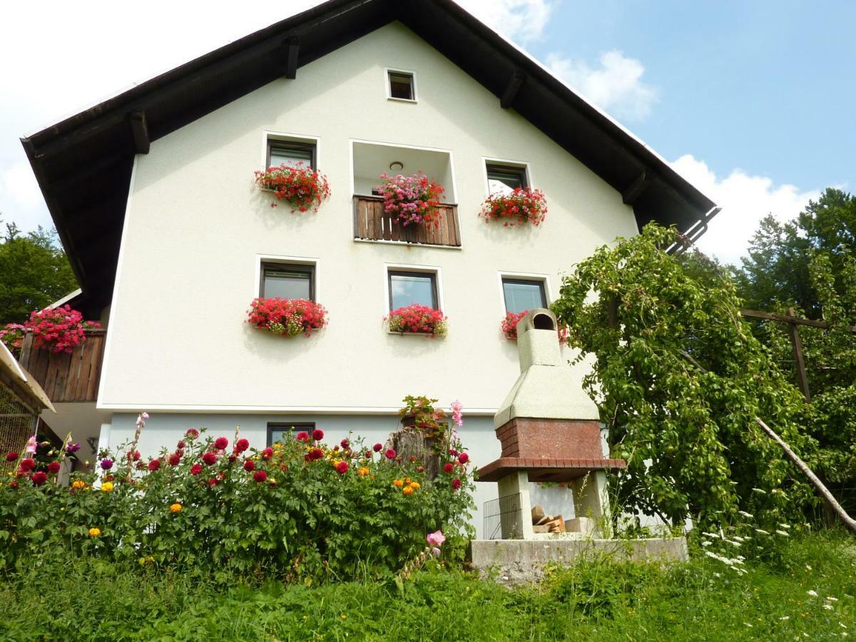 Apartments Pri Marjetki ツェルクノ エクステリア 写真